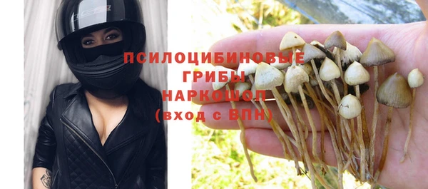 бошки Медногорск