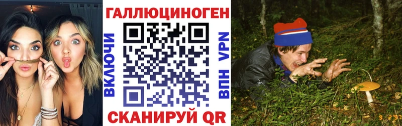 где можно купить   Багратионовск  Галлюциногенные грибы GOLDEN TEACHER 