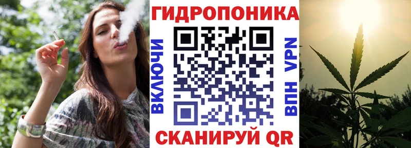 Канабис SATIVA & INDICA Багратионовск